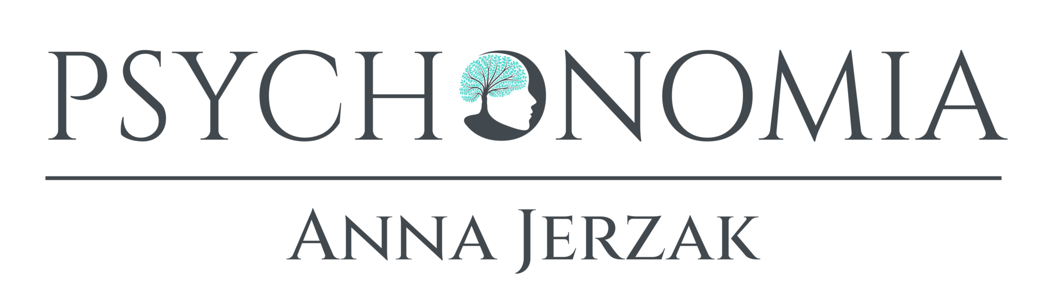 Psychonomia – Usługi psychologiczne Anna Jerzak – psycholog Poznań – Swarzędz